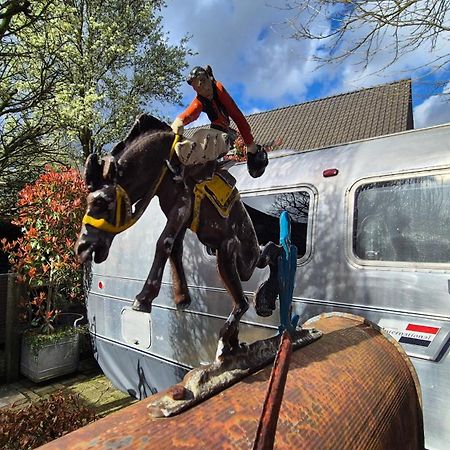Airstreamnb Bed and Breakfast Schayk Buitenkant foto